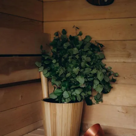 Сasa de vacaciones Sidrabgrava - Luxury In Woods Limbazi