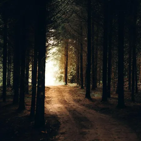 Сasa de vacaciones Sidrabgrava - Luxury In Woods